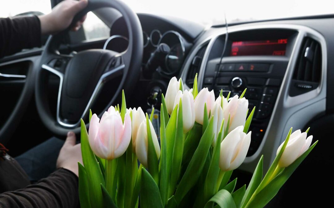 3 Reasons to Replace Your Windshield Along with Your Spring Tune-Up.