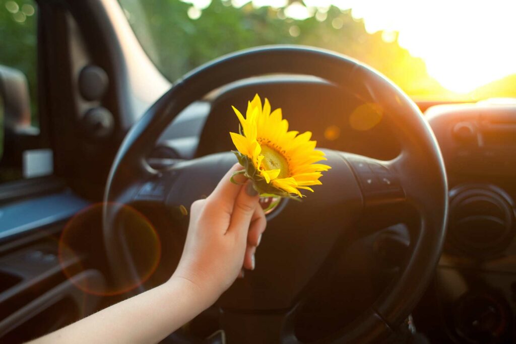 person holding a flower while driving in a car
