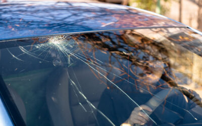 Fix Rock Chips Fast in Salmon Arm: Windshield Repair & Replacement Experts