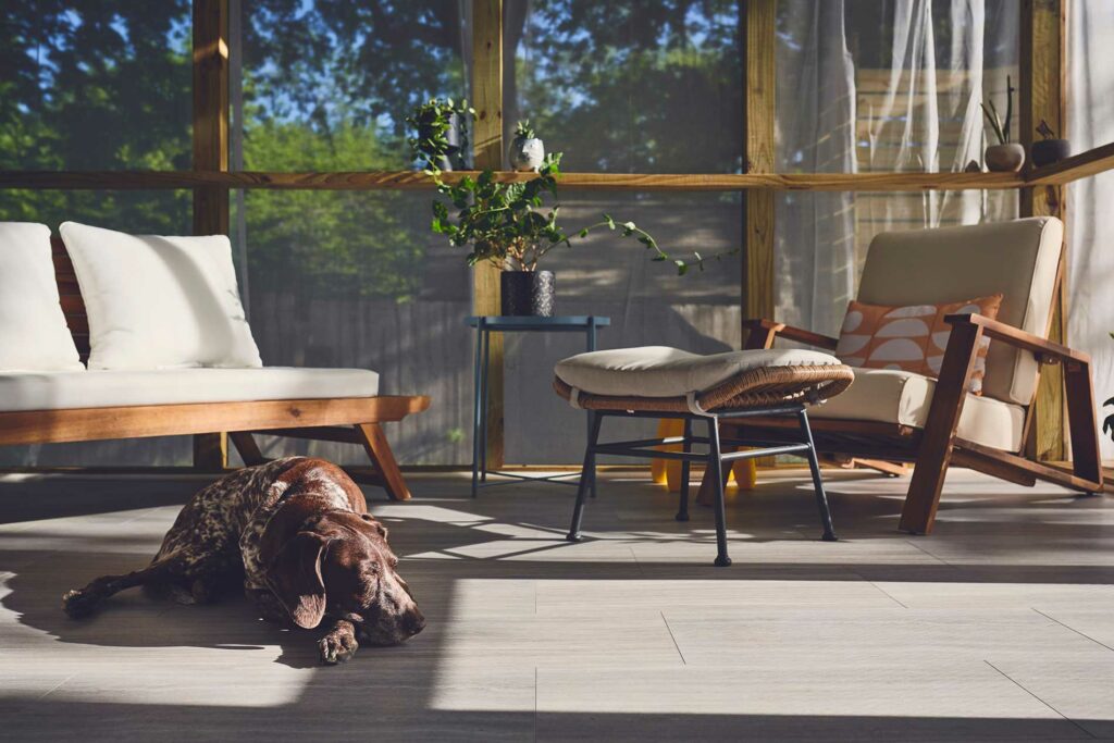 dog-laying-inside-next-to-a-window
