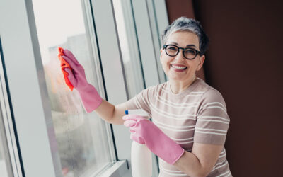 Top Tips for Streak-Free Windows in Salmon Arm and the Shuswap